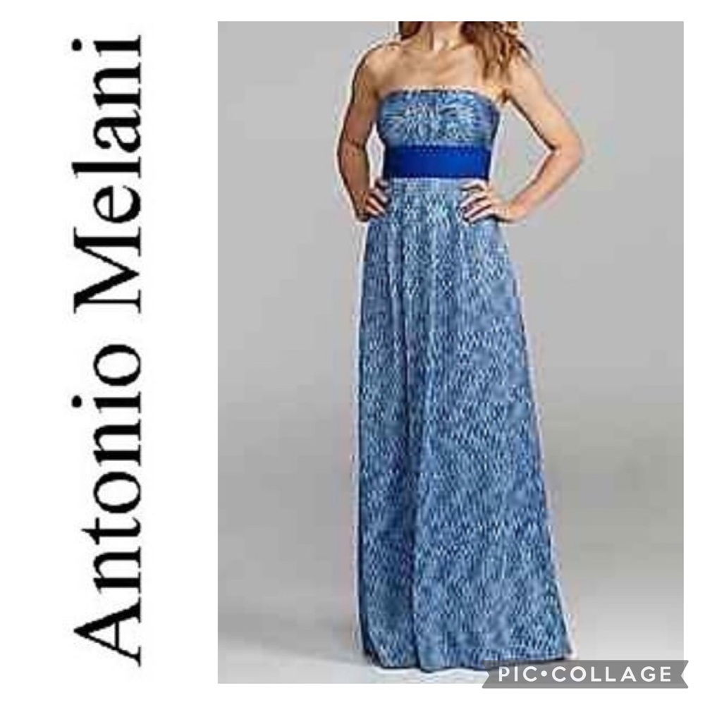 ANTONIO MELANI Lined Zig Zag Strapless Maxi Dress